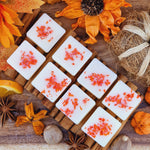Load image into Gallery viewer, Pumpkin Spice Botanical Eco Soy Wax Melts
