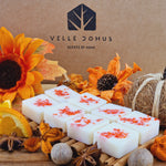 Load image into Gallery viewer, Pumpkin Spice Botanical Eco Soy Wax Melts
