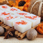 Load image into Gallery viewer, Pumpkin Spice Botanical Eco Soy Wax Melts
