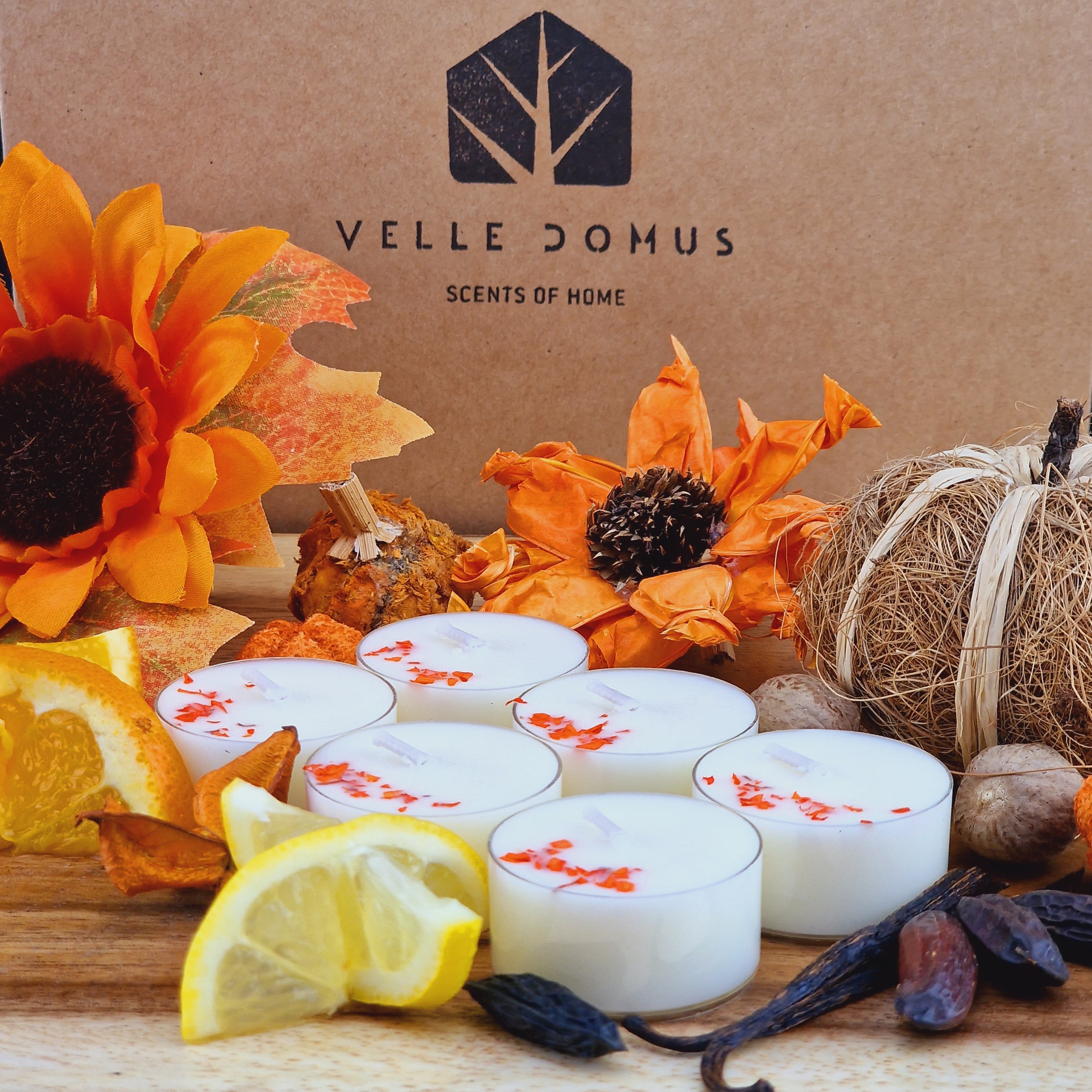 Pumpkin, Tonka & Vanilla Scented Soy Wax Tea Light Candles