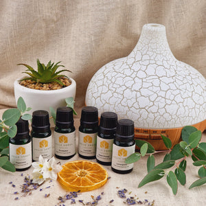 Ultrasonic Diffuser & 6 Most Popular Essential Oils Bundle