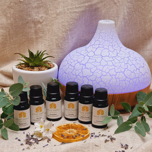 Ultrasonic Diffuser & 6 Most Popular Essential Oils Bundle